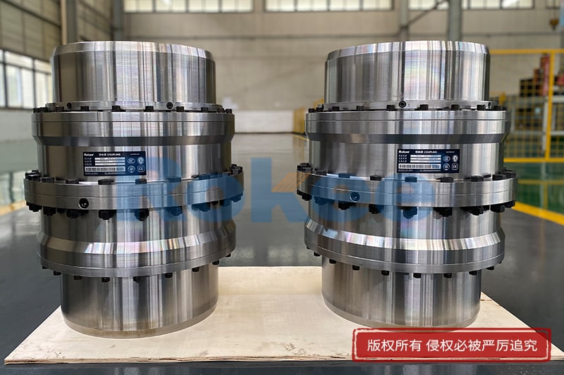 RODA Drum Gear Coupling (Exported to Vietnam)